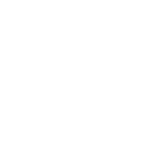 Public Opinion Partners Logo